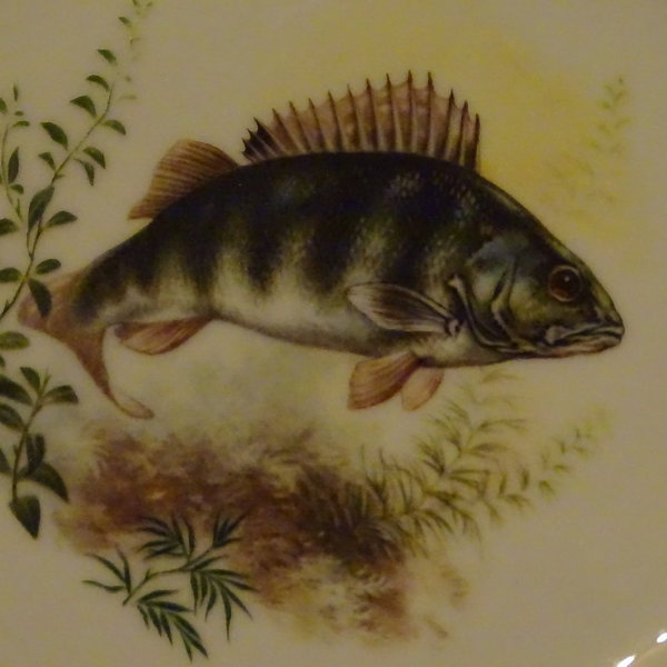 Eschenbach Fische: Speiseteller / flacher Teller