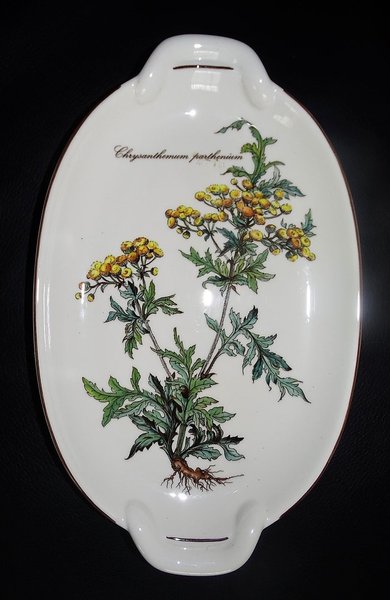 Villeroy & Boch Botanica: Schiffchenteller / Platte mit Griffen - ca 26 cm