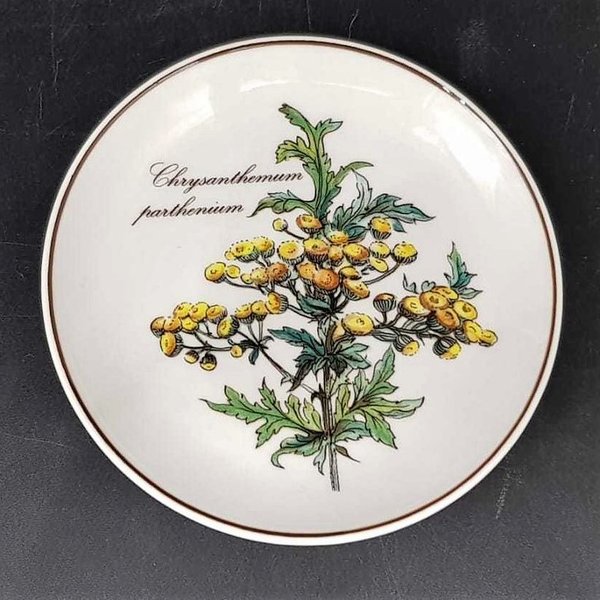 Villeroy & Boch Botanica: Untersetzer rund - Chrysanthemum parthenium - ca 12 cm