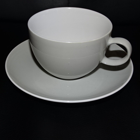 Rosenthal Thomas Sunny Day: Teetasse / Tasse mit Unterteller (Grau)