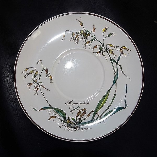Villeroy & Boch Botanica: Unterteller / Untertasse - Avena Saliva - ca 16,5 cm