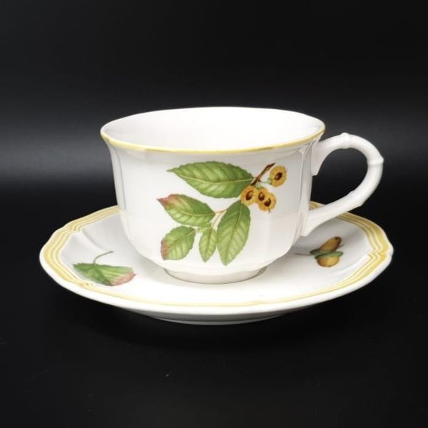 Villeroy & Boch Parkland: Teetasse / Tasse mit Unterteller
