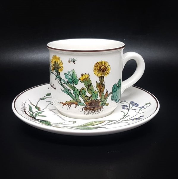 Villeroy & Boch Botanica: Kaffeetasse / Tasse mit Unterteller - neuwertig